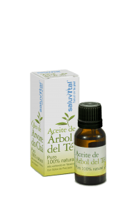 Arbol de te Aceite 16