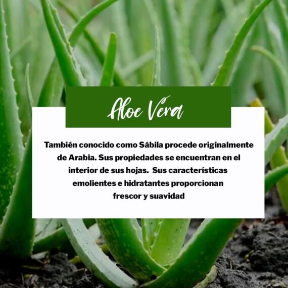 61p60qTeGPL._AC_SL1200_