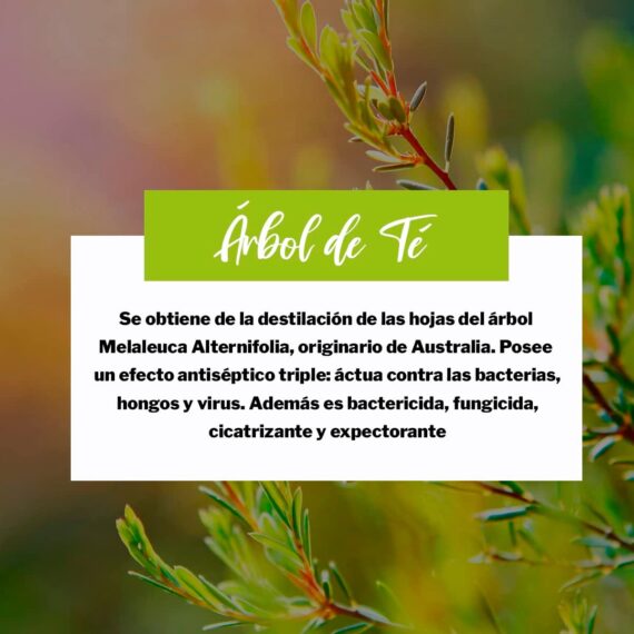 61LcWZZoaaL._AC_SL1200_